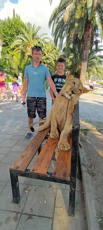 Фото с львицей